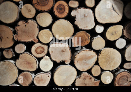 Haufen von Protokolle bereit für einen offenen Kamin. Abgebildet sind die Nähe der Enden der Protokolle auf. Stockfoto