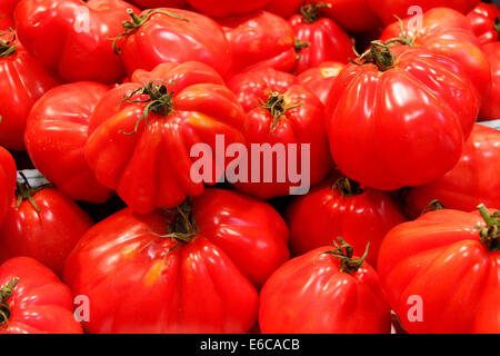 Zutaten und Platten, die moderne und mediterrane Aromen mischen. Stockfoto