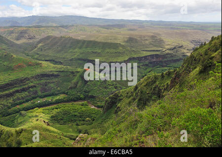 Waimea Canyon, Insel Kauai, Hawaii Inseln, USA Stockfoto