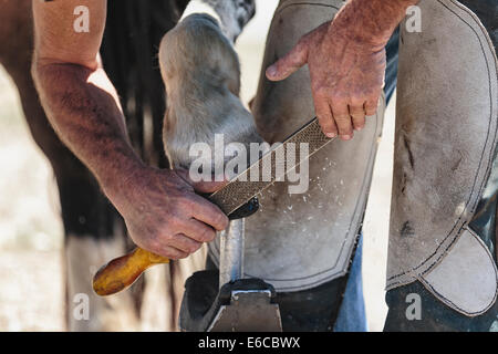 Hufschmied Schneeschuhwandern Pferd Stockfoto