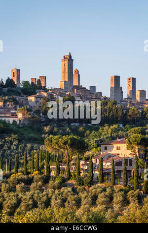 Toskanische Landschaft mit Reihen von Olivenbäumen und die Skyline von San Gimignano bei Sonnenuntergang, Toskana, Italien. Stockfoto