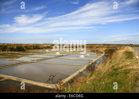 Salinen in der Nähe von La Baule (Loire-Atlantique) Bretagne, Frankreich Stockfoto