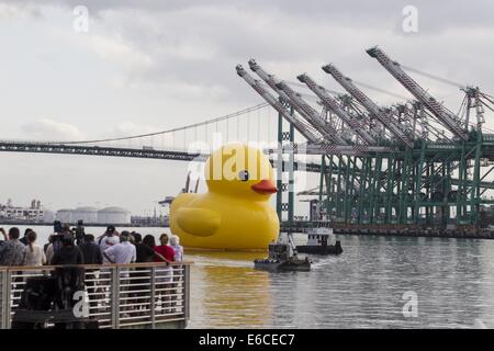 Los Angeles, Kalifornien, USA. 20. August 2014. Eine riesige Gummiente, die Idee des niederländischen Künstlers Florentijn Hofman sechs-Geschichte-große schwimmende "Rubber Duck" Skulptur, Pässe unter der Vincent Thomas Bridge, Ankunft am Hafen von Los Angeles, Mittwoch, 20. August 2014. Bildnachweis: Ringo Chiu/ZUMA Draht/Alamy Live-Nachrichten Stockfoto
