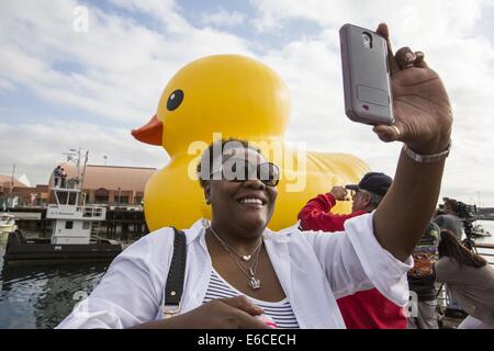 Los Angeles, Kalifornien, USA. 20. August 2014. Eine riesige Gummiente, die Idee des niederländischen Künstlers Florentijn Hofman sechs-Geschichte-große schwimmende "Rubber Duck" Skulptur, Pässe unter der Vincent Thomas Bridge, Ankunft am Hafen von Los Angeles, Mittwoch, 20. August 2014. Bildnachweis: Ringo Chiu/ZUMA Draht/Alamy Live-Nachrichten Stockfoto