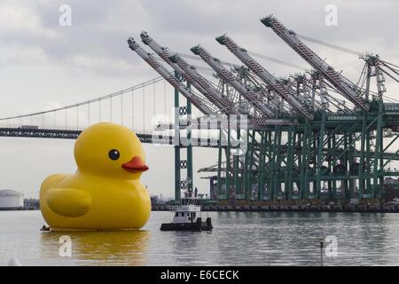 Los Angeles, Kalifornien, USA. 20. August 2014. Eine riesige Gummiente, die Idee des niederländischen Künstlers Florentijn Hofman sechs-Geschichte-große schwimmende "Rubber Duck" Skulptur, Pässe unter der Vincent Thomas Bridge, Ankunft am Hafen von Los Angeles, Mittwoch, 20. August 2014. Bildnachweis: Ringo Chiu/ZUMA Draht/Alamy Live-Nachrichten Stockfoto