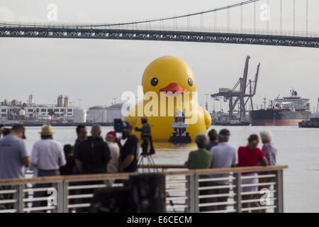 Los Angeles, Kalifornien, USA. 20. August 2014. Eine riesige Gummiente, die Idee des niederländischen Künstlers Florentijn Hofman sechs-Geschichte-große schwimmende "Rubber Duck" Skulptur, Pässe unter der Vincent Thomas Bridge, Ankunft am Hafen von Los Angeles, Mittwoch, 20. August 2014. Bildnachweis: Ringo Chiu/ZUMA Draht/Alamy Live-Nachrichten Stockfoto
