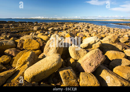 Sandsteinfelsen am Strand von Beadnell, Northumberland, UK. Stockfoto