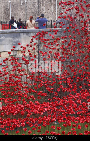 Keramikmohn aus Blut fegte Lands and Seas of Red im Tower of London UK anlässlich des hundertjährigen Bestehens des Ersten Weltkriegs Stockfoto