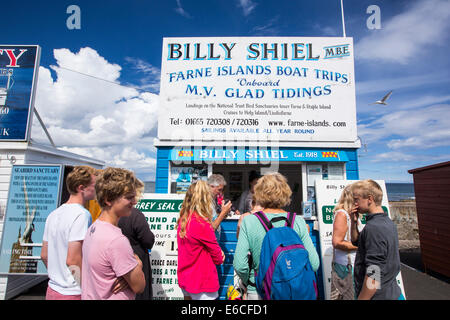 Touristen buchen eine Billy Shiel Farne Insel Bootstour in gemeinsame, Northumberland, UK. Stockfoto