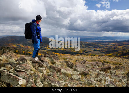 Utah. USA. Frau Wanderer auf Glenwood Berg im Herbst. Sevier Plateau. Fishlake Nationalwald. (MR) Stockfoto