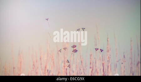 Vintage Bild von bunten Drachen fliegen in den blauen Himmel hinter Grass. Stockfoto