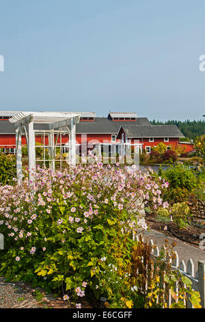 USA, Washington, Whidbey Island. Greenbank Farm, eine Gemeinschaft gegründete gemeinnützige Organisation, 151 Hektar des öffentlichen Raumes Stockfoto