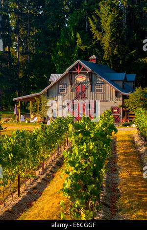 USA, Washington, Whidbey Island. Verwöhnten Hund Weingut und Weinberg auf Whidbey Island. Stockfoto