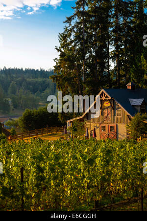 USA, Washington, Whidbey Island. Verwöhnten Hund Weingut und Weinberg auf Whidbey Island. Stockfoto