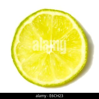Ein Stück von Lime Zitrusfrucht Stockfoto