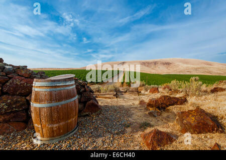 USA, Washington, Yakima Valley. Lauf und Weinberg von Yakima Valley Weinland in Eastern Washington. Stockfoto