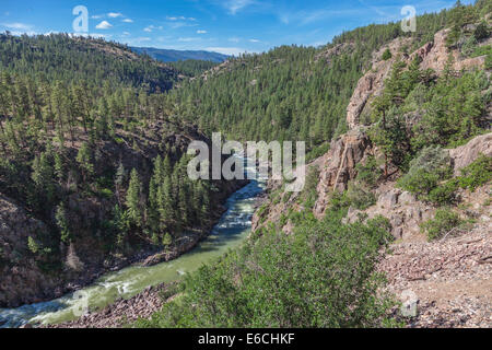 Animas River in den San Juan Mountains in Colorado. Stockfoto