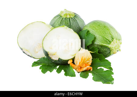 Zucchini runde isolierten auf weißen Hintergrund Stockfoto