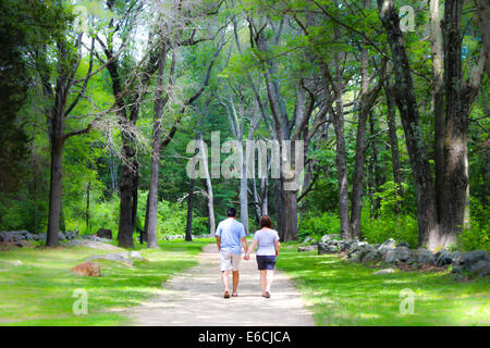 Romantisch zu zweit zu Fuß durch einen wunderschönen Wald Stockfoto