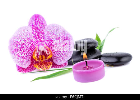 Orchidee mit Zen Steinen. Spa und Health Care Konzept Stockfoto