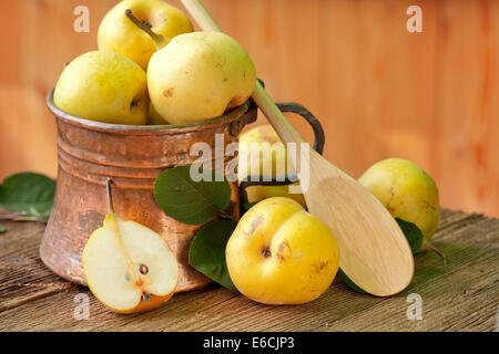 Birne in Kupfer Krug Stockfoto