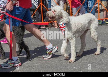 Fourth Of July Parade in Breckenridge Stockfoto