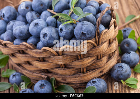 Heidelbeeren in Nahaufnahme Stockfoto