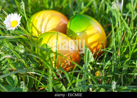 Easter Eggs versteckt in Green Grass Stockfoto