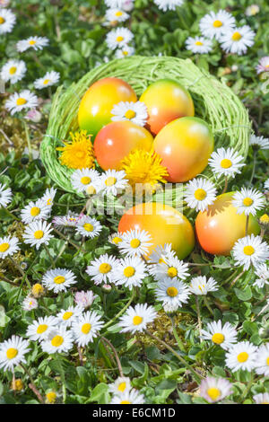 Osterei in Korb mit Blumen Stockfoto