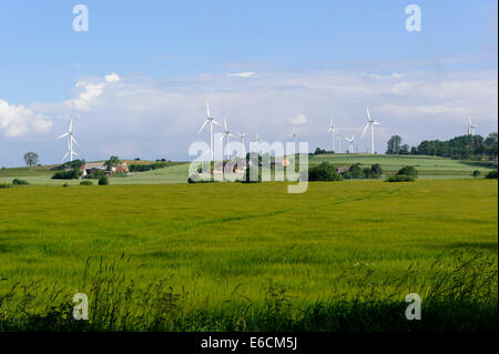 Felder und Windkraftanlagen in der Nähe in Darlowo, Polen, Europa Stockfoto