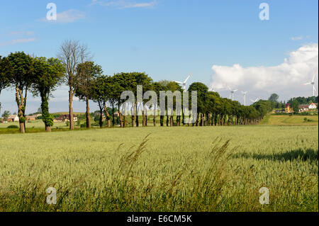 Felder und Windkraftanlagen in der Nähe in Darlowo, Polen, Europa Stockfoto