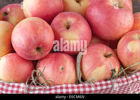 Bio-Äpfel in Nahaufnahme Stockfoto