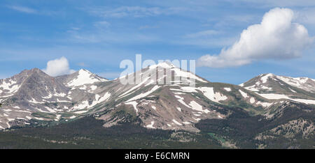 Blick vom Boreas Pass Road in der Nähe von Breckenridge, Colorado. Höhe am Gipfel ist 11, 482 Feet - entlang der kontinentalen Wasserscheide. Stockfoto