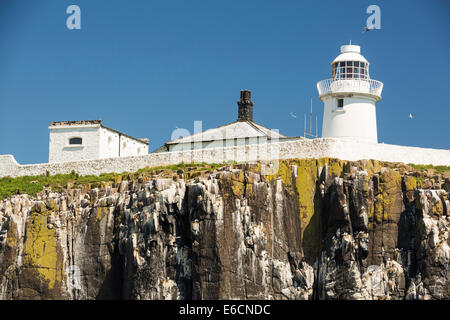 Ein Leuchtturm auf den Farne Islands, Northumberlan, UK,, mit nistenden Seevögeln auf den Klippen. Stockfoto