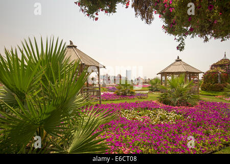 Bunte Blütenpracht mit Massen von roten Petunien Blumen in Dubai Wunder Gardens in Wüste der Vereinigten Arabischen Emiraten Stockfoto