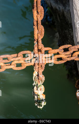 Rostigem Eisenketten bilden Muster von der Vaporetto Haltestelle Landung auf der Insel Burano in der venezianischen Lagune. Stockfoto