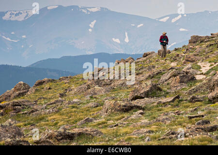 Idaho Springs, Colorado - Fotograf Wanderungen in der Tundra nahe dem Gipfel des Mt. Evans, einer der am leichtesten zugängliche hohe Gipfel Stockfoto