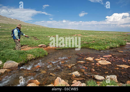 Idaho Springs, Colorado - ein Mann fischt im Bear Creek unterhalb des Gipfels des Mt. Evans. Mt Evans ist eines der am leichtesten zugängliche hoch Stockfoto