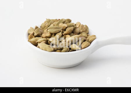 (Elettaria Cardamomum) Kardamompflanzehülsen auf weißem Hintergrund Stockfoto