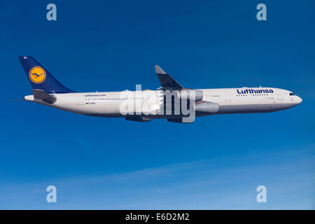 Lufthansa Airbus A330-343 im Flug Stockfoto