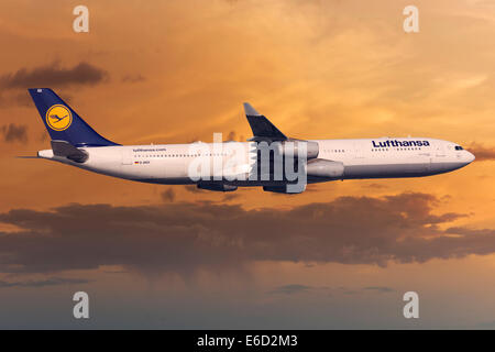 Lufthansa Airbus A330-343 im Flug im Abendlicht Stockfoto