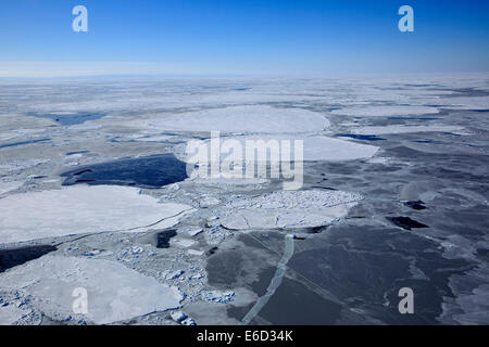 Luftbild, Packeis, Magdalen Inseln, Sankt-Lorenz-Golf, Quebec, Kanada Stockfoto