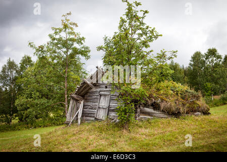 Wirklich alte Holzschuppen in Lappland, Schweden. Rasen wächst auf dem Dach. Die Schuppen fällt auseinander und langsam gehen wir zurück zu natu Stockfoto