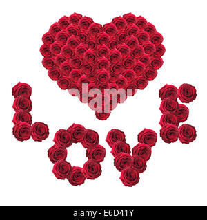 Rote Rosen in der Form Wort Liebe und Herz isoliert auf weißem Hintergrund Stockfoto