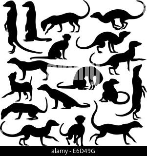 Satz von bearbeitbaren Vector Silhouetten der Erdmännchen in unterschiedlichen Haltungen Stock Vektor