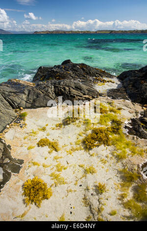 Aquamarin Meere und einem Rock Pool auf den Norden von Iona, aus Mull, Schottland. Stockfoto