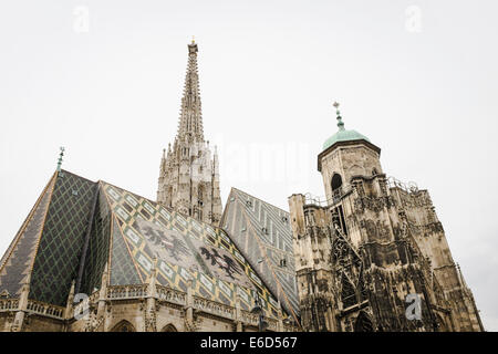 Stephansdom, Domkirche St. Stephan Zu Wien, Stephansdom, Wien, Austria, Europe, an einem bewölkten Tag Stockfoto