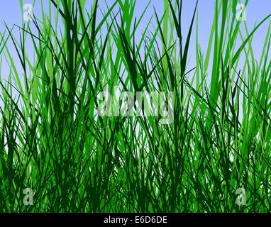 Editierbare Vektor-Design, hohem grobe Gras Stock Vektor