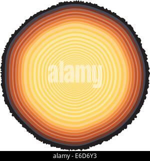 Bearbeitbares Vektor-Illustration der Jahrringe auf einem 67 Jahre alten Baumstumpf Stock Vektor