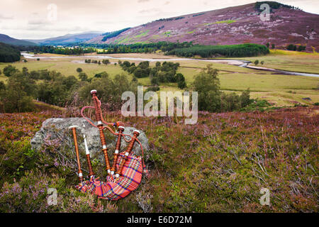 National Trust Mar Estate  Bagpipes und Blume schottisches Heidekraut Glen in der Nähe von Braemar, Cairngorms Nationalpark Schottland, Vereinigtes Königreich Stockfoto